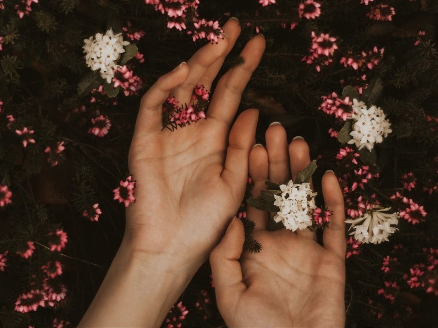 Zeit in der Natur kann uns Kraft schenken in Zeiten von social distancing.