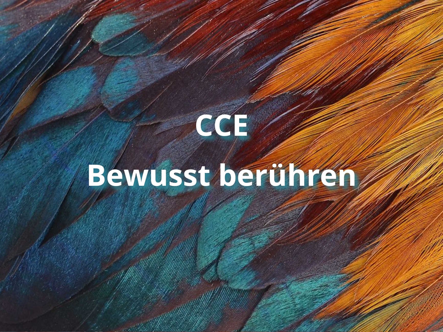 kuschelparty Bewusst berühren