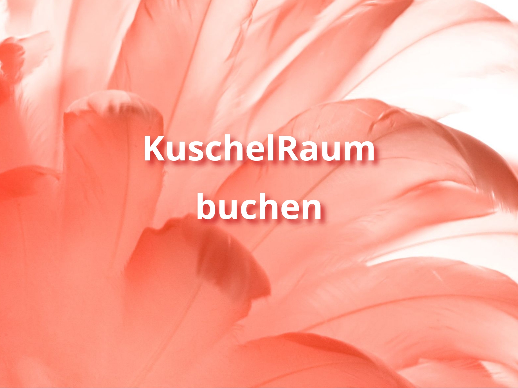 kuschelraum-buchen Kuschelparty buchen
