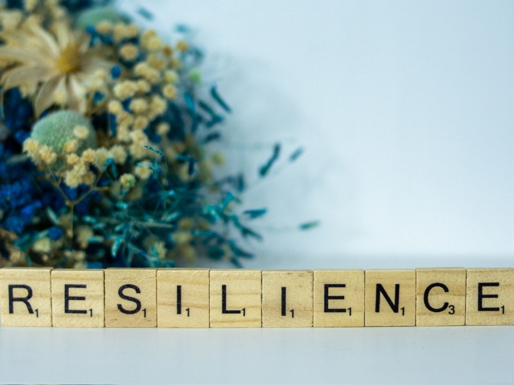 resilienz und kuscheln