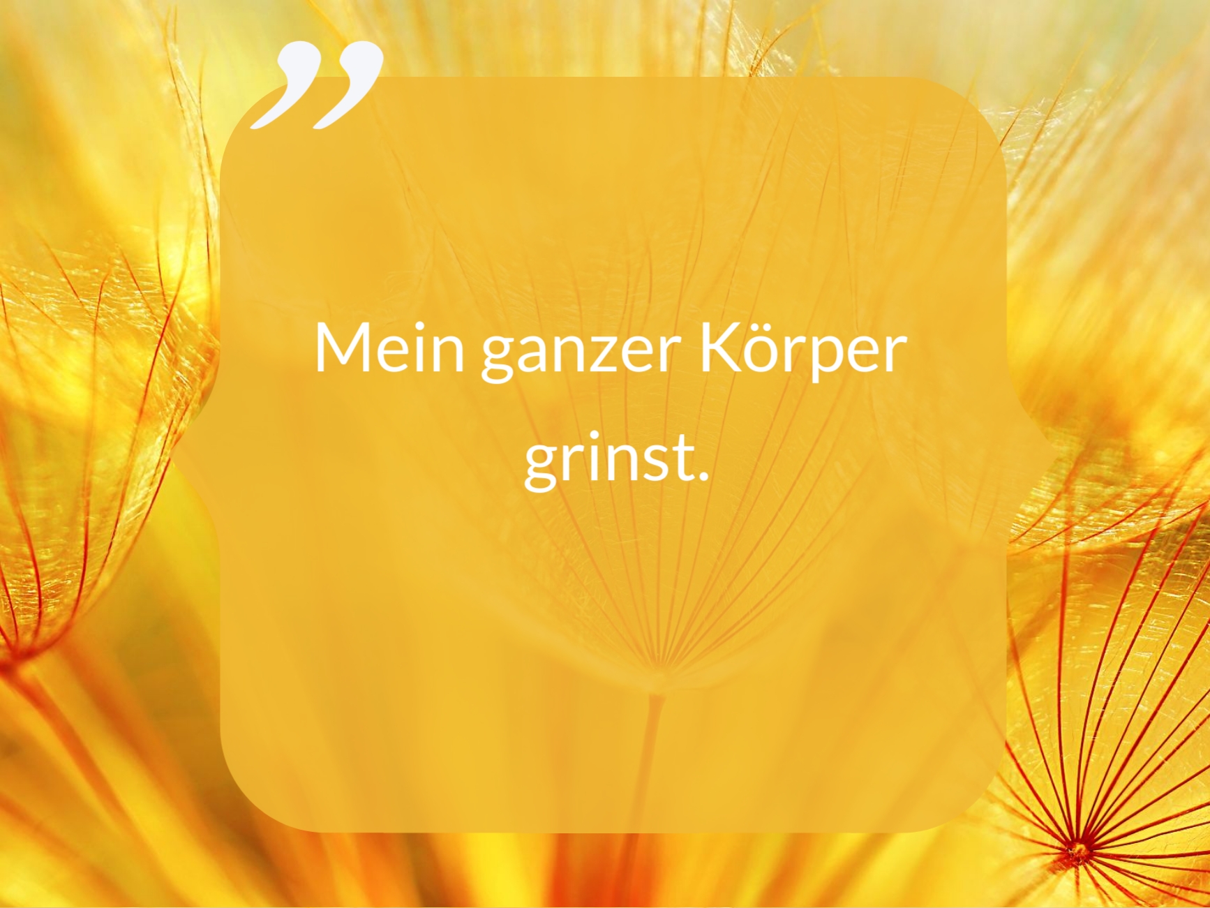 Mein ganzer Körper grinst. Feedback eines Teilnehmers einer Kuschelparty im KuschelRaum.