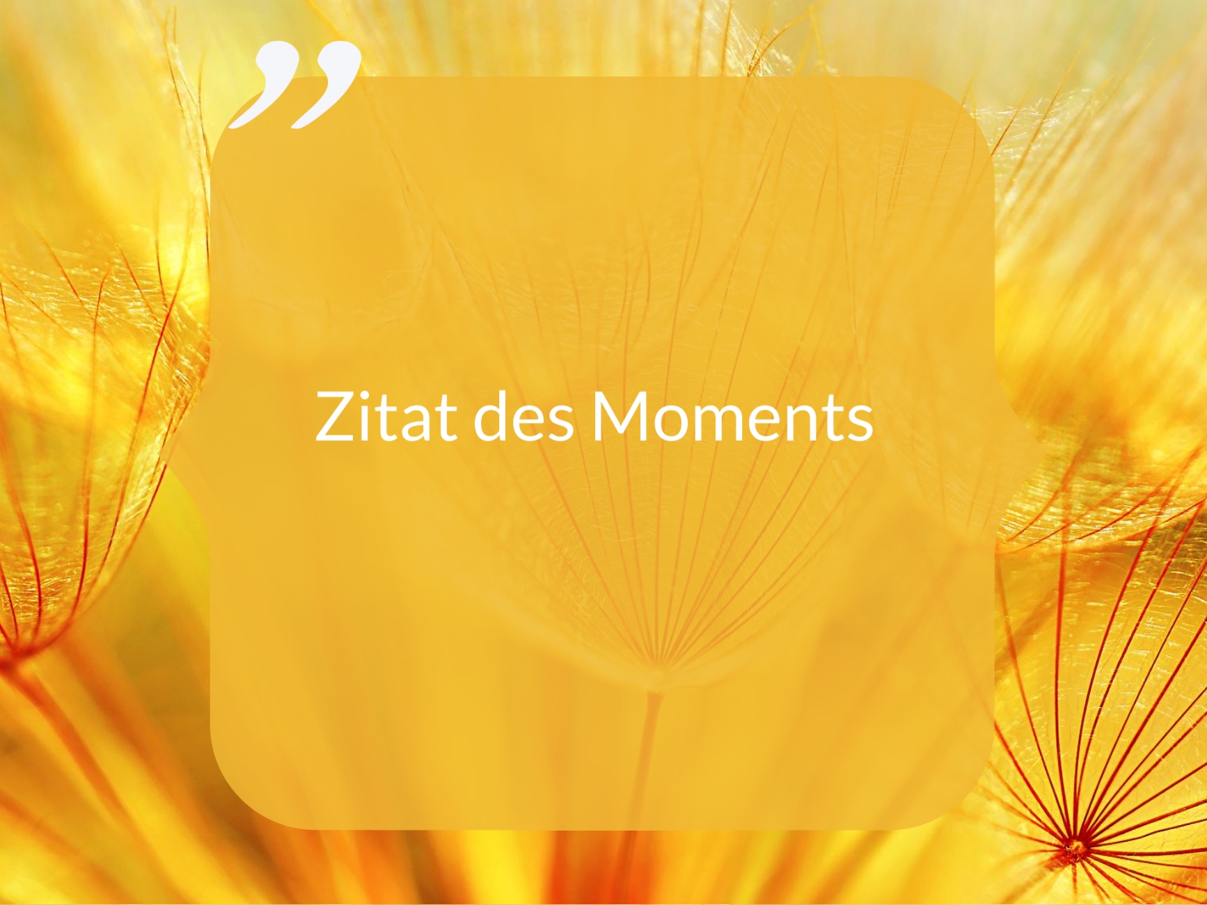 Zitate des Moments sind Feedback, die Teilnehmerinnen am Ende von unseren Kuschelparty im Kreis vor allen Teilen.