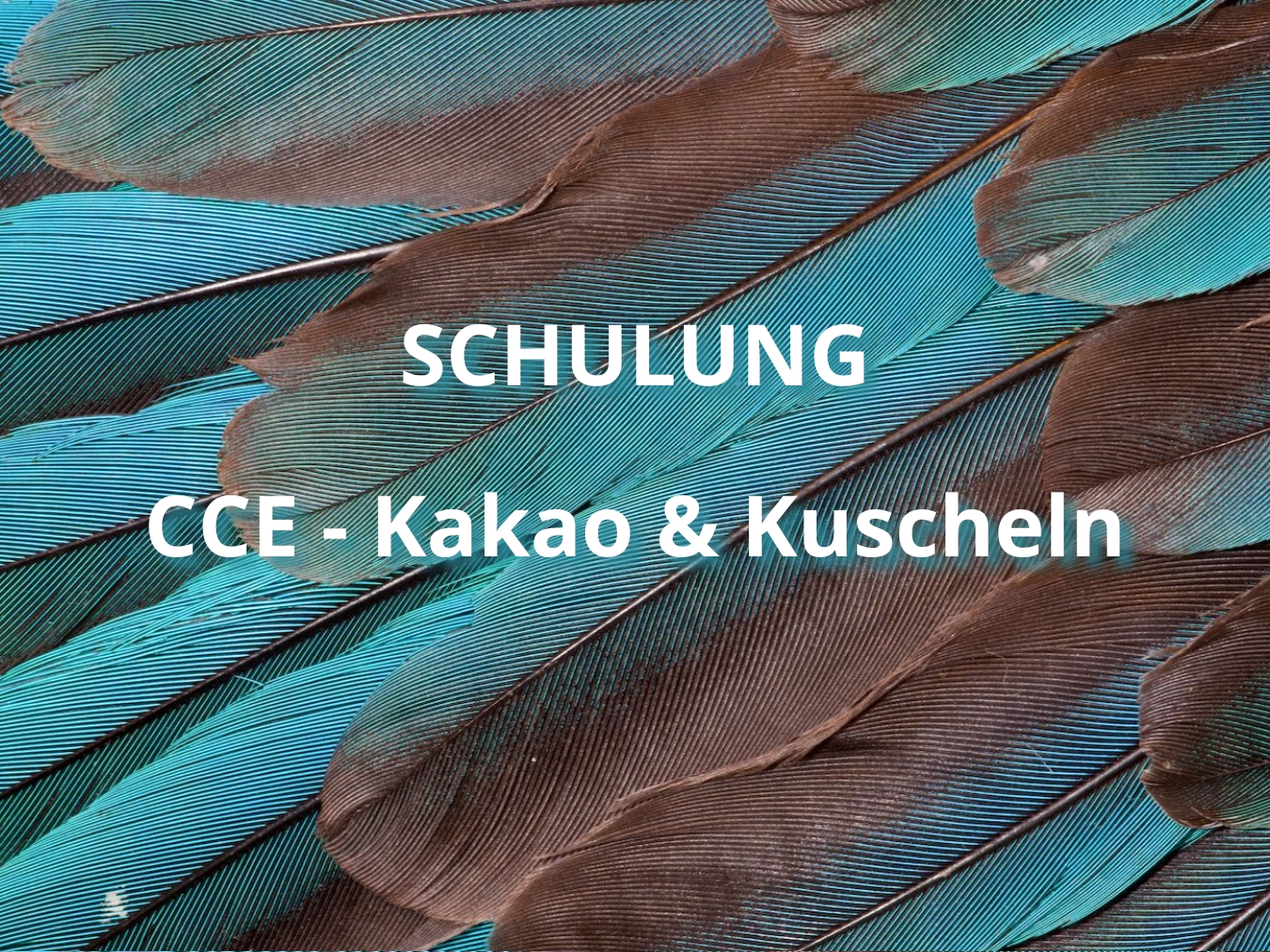 schulung-kakao-kuscheln
