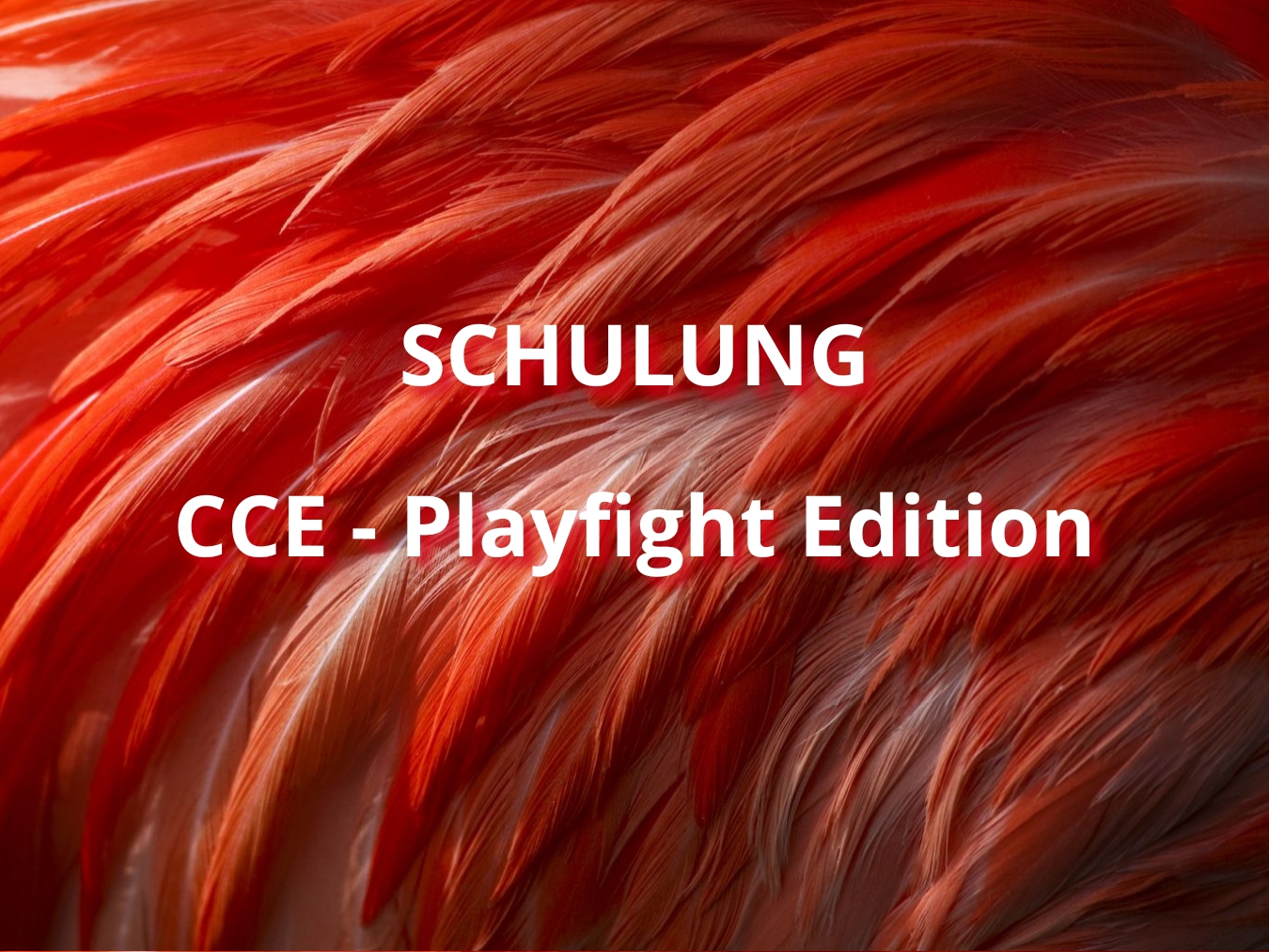 schulung-playfight