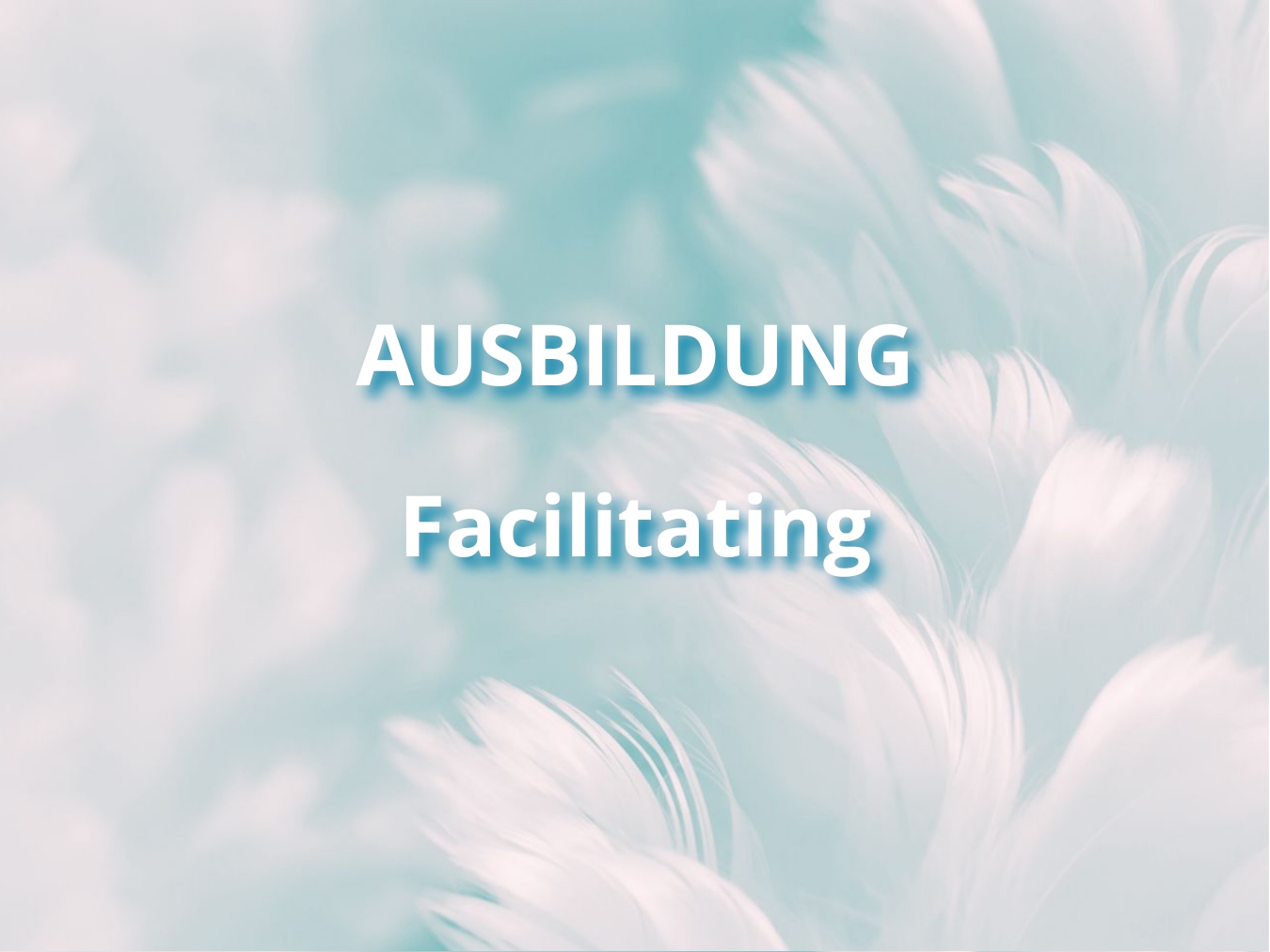 Facilitating-Ausbildung im KuschelRaum – online lernen, Workshops bewusst leiten und Gruppen begleiten