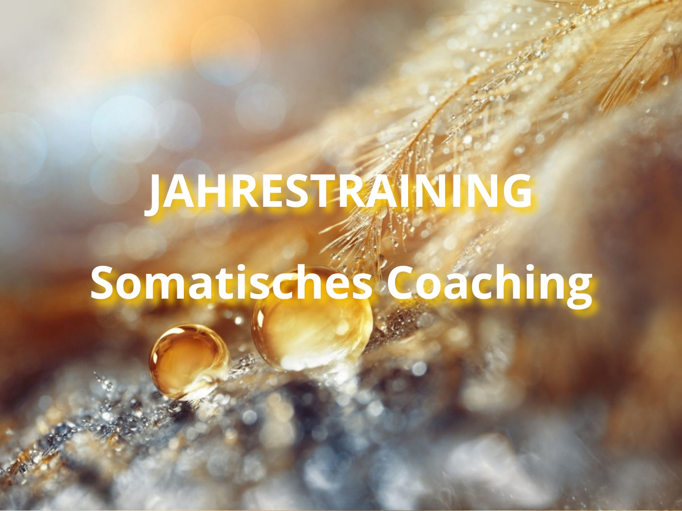 somatisches-coaching-jahrestraining