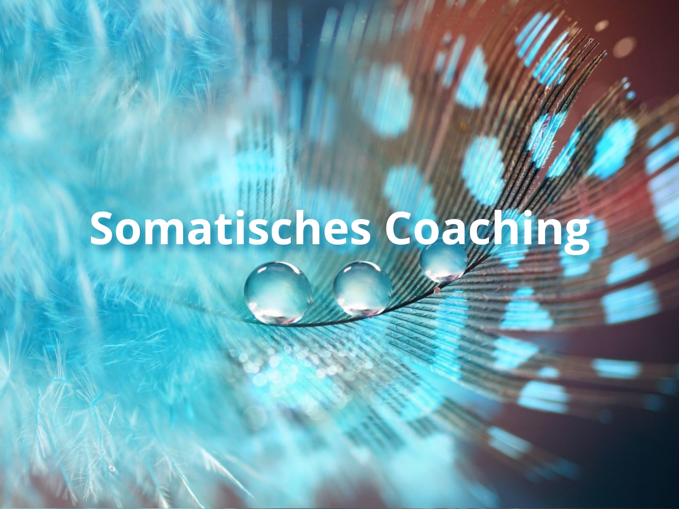 somatisches-coaching