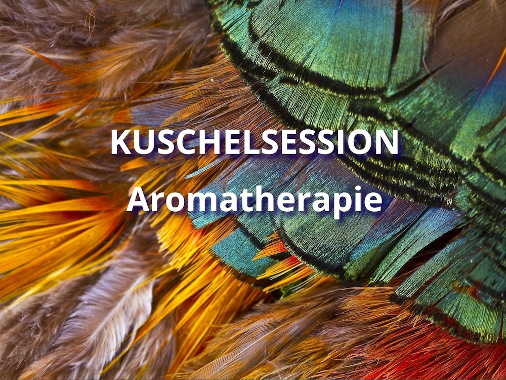 kuschelsession-aromatherapie Kuschelsession mit Aromatherapie ist eine Variation der Kuscheltherapie. Erlebe wohltuende Düfte udn sanfte Berührungen.