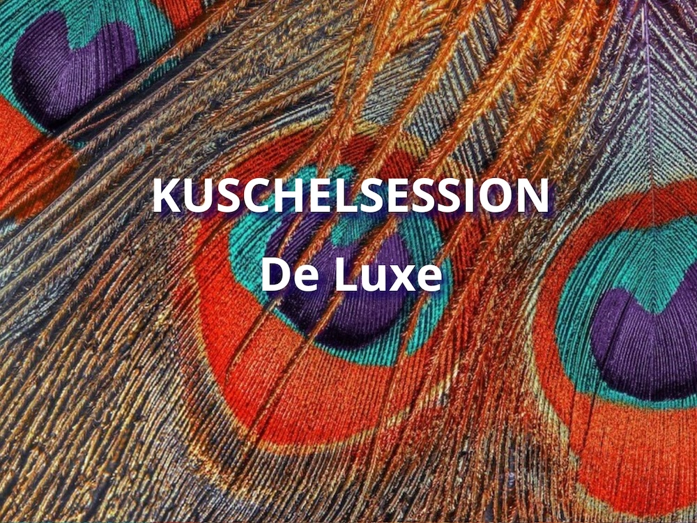 kuschelsession-de-luxe Kuschelsession-de-luxe ist eine Variation der Kuscheltherapie. Hier bekuscherln dich mehrere Kuscheltherapeut:innen.