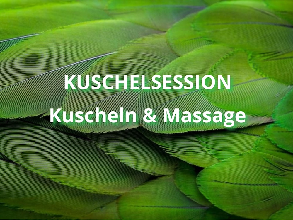 kuschelsession-massage-kuscheln Kuschelsession mit Massage ist eine Variation der Kuscheltherapie. Erlebe eine tiefe Massage gefolgt von einer Sanften Kuscheleinheit.