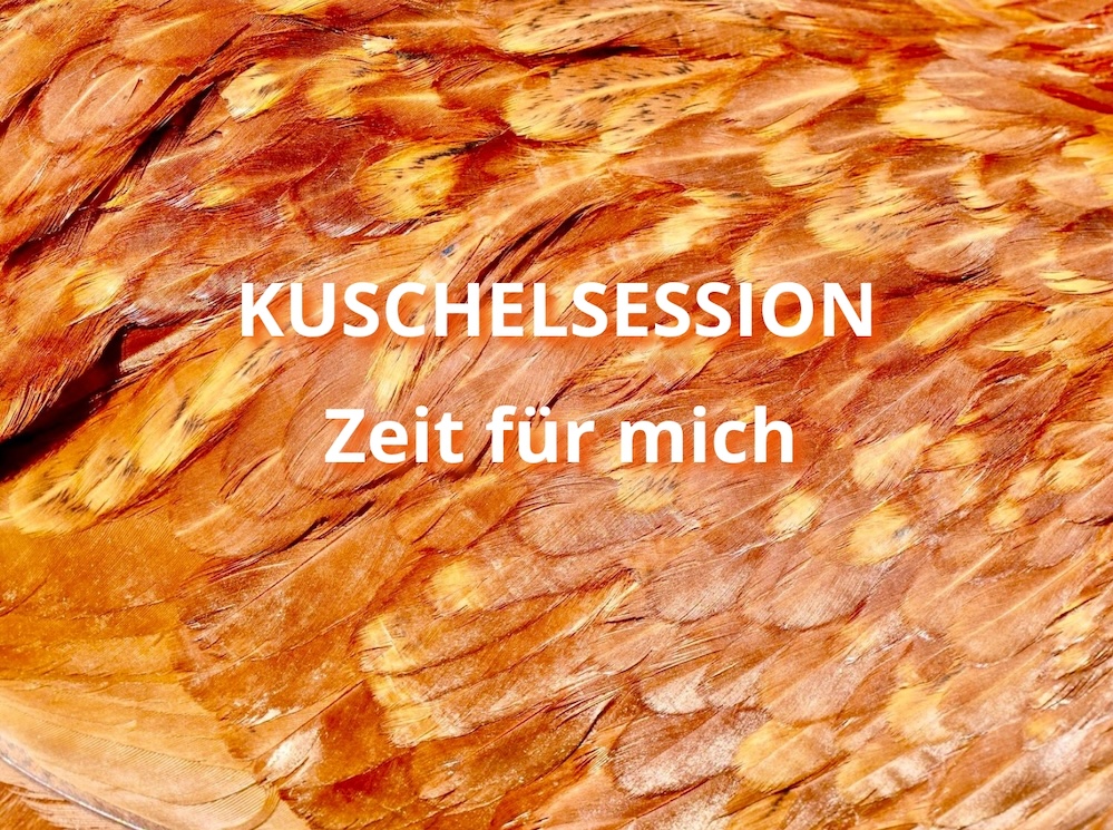 kuschelsession-zeit-für-mich kuschelsession Zeit für mich, Variation der Kuscheltherapie, Federbild mit Schrift