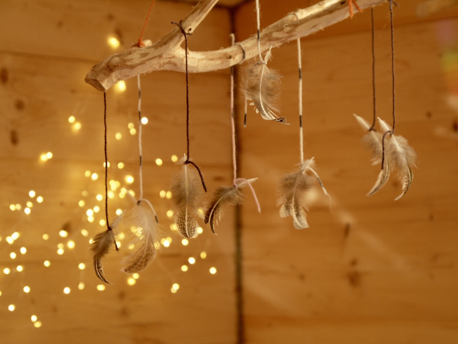 Blick in den Augsburger KuschelRaum. Erlebe Kuscheltherapie mit Stefan im Tiny House – Geborgenheit in naturnaher Wohlfühlatmosphäre.