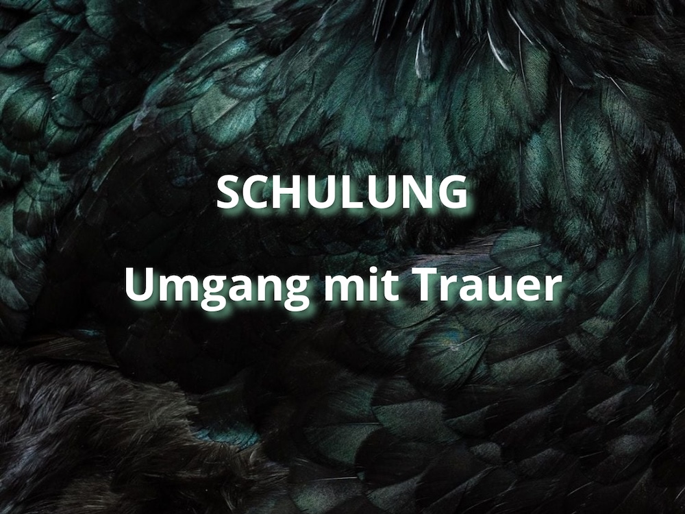 schulung-trauer-kuschelraum Schulungen im KuschelRaum. Der Umgang mit trauernden Menschen - ein berührendes Thema.