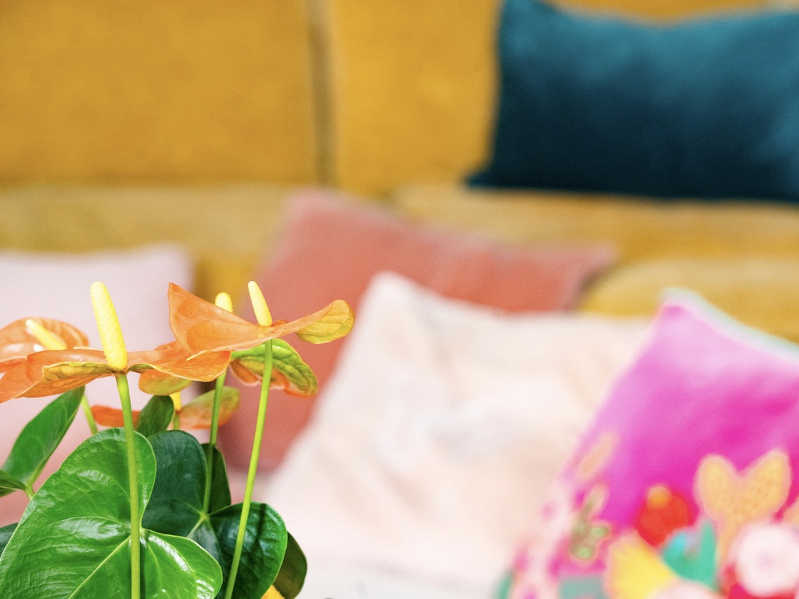 Blick in den KuschelRaum Berlin. Zurücklehnen in kuschelige Kissen und sich bekucheln lassen. Von Kuscheltherapeutin Stefanie.