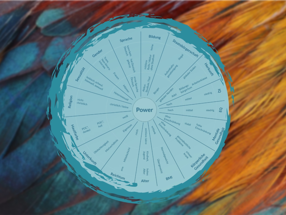 The Wheel of Power und Privilege. Ein Tool für das Leben von bewusstem Consent. Consent Kultur erschaffen und leben.