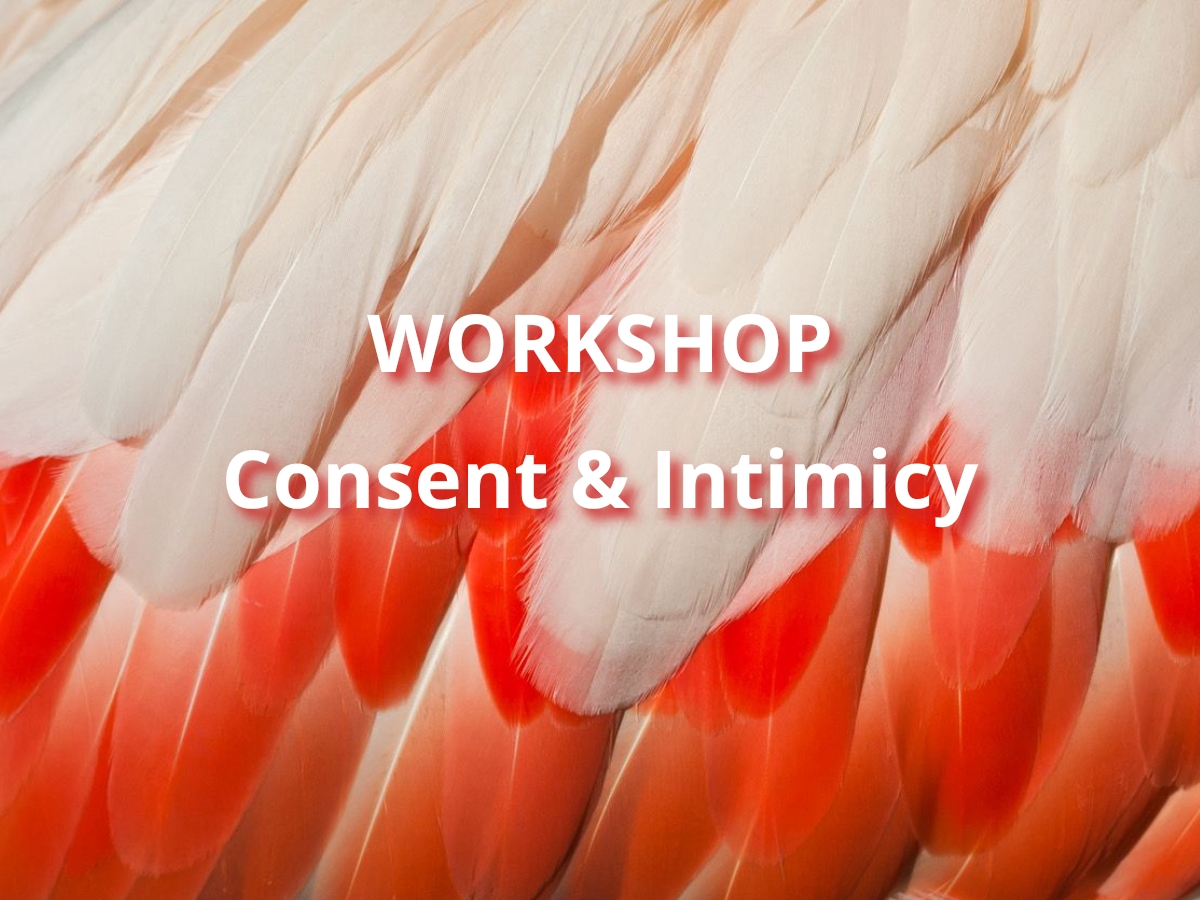 Workshop "Consent & Intimacy" im KuschelRaum – entdecke, wie Klarheit und Vertrauen Intimität bereichern